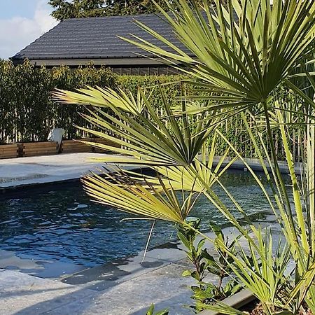 Pine Cottage- 5 Minutes Francorchamps - Charme -Piscine-Calme-Jardin Sart  Экстерьер фото