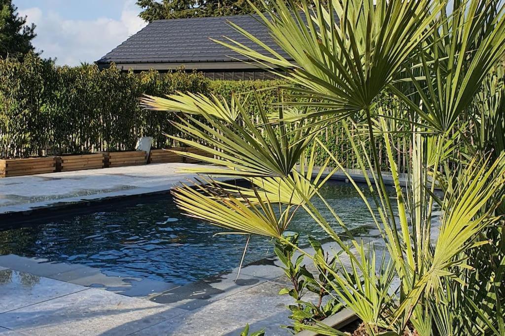 Pine Cottage- 5 Minutes Francorchamps - Charme -Piscine-Calme-Jardin Sart  Экстерьер фото