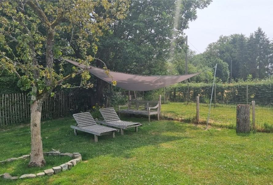 Pine Cottage- 5 Minutes Francorchamps - Charme -Piscine-Calme-Jardin Sart  Экстерьер фото